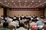 8月3日，全省州农业农村局长会议在祁阳县召开，总结上半年工作成绩，部署下半年工作 - 新浪湖南