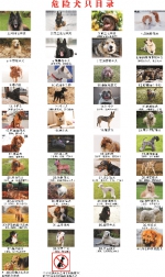 42种犬类被禁养 常德6部门联手规范市城区养犬行为 - 新浪湖南