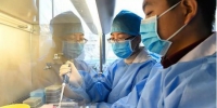 资料图：山西省太原市疾控中心，微生物检验人员检测医院送来的样本。韦亮 摄 - 新浪湖南