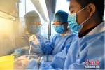 资料图：山西省太原市疾控中心，微生物检验人员检测医院送来的样本。韦亮 摄 - 新浪湖南