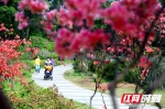 湖南省植物园。（资料图） - 新浪湖南