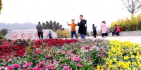 1月5日，湖南省植物园内不乏携家出游的游客。 - 新浪湖南