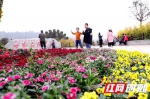 1月5日，湖南省植物园内不乏携家出游的游客。 - 新浪湖南