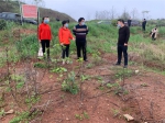 图片2周红玲主席实地了解大兴龙村无花果基地种植情况.png - 妇女联