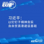 联播+丨习近平：以钉钉子精神夯实自由贸易港建设基础 - News.HunanTv.Com