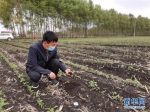 （在习近平新时代中国特色社会主义思想指引下——新时代新作为新篇章·习近平总书记关切事·图文互动）（6）让每一寸耕地都成为丰收的沃土——我国加强耕地保护推进“藏粮于地” - News.HunanTv.Com