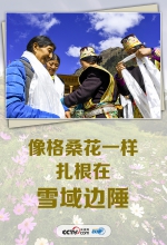六个细节 感受总书记对雪域高原的深情牵挂 - News.HunanTv.Com