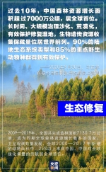 “共建万物和谐的美丽家园”，习近平首次提出这一重大倡议 - News.HunanTv.Com