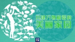 “共建万物和谐的美丽家园”，习近平首次提出这一重大倡议 - News.HunanTv.Com