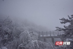 美出“高冷范儿” 湖南一大波雪景实拍图来了 - 新浪湖南
