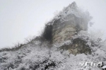 美出“高冷范儿” 湖南一大波雪景实拍图来了 - 新浪湖南