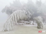 美出“高冷范儿” 湖南一大波雪景实拍图来了 - 新浪湖南