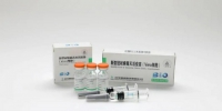 重磅！中国新冠灭活疫苗正式获批在3-17岁人群使用 - 新浪湖南