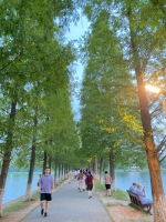 湖南烈士公园提质改造：“网红”湖心岛更靓了，全园取消收费园中园 - 新浪湖南