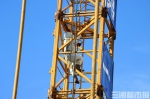 （消防员在工地塔吊上处理马蜂窝现场。 通讯员供图） - 新浪湖南
