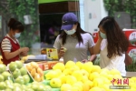 当日，在武陵源区一家水果店，市民在选购水果。 吴勇兵 摄 - 新浪湖南