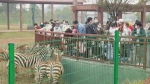 “五一”小长假，省内游客打卡湖南汉寿同发野生动物世界 - 新浪湖南