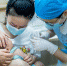 中国首个自主研发四价流脑结合疫苗长沙开打 - 新浪湖南