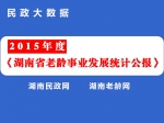 民政大数据：2015年度湖南省老龄事业发展统计公报 - 民政厅