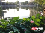 明日起省内高温暂停 今明湘西湘南多阵雨 - 湖南红网