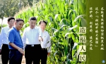 海报｜习近平在吉林考察 - News.HunanTv.Com