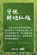 联播+｜特殊之年 感受习近平的“三农”情怀 - News.HunanTv.Com